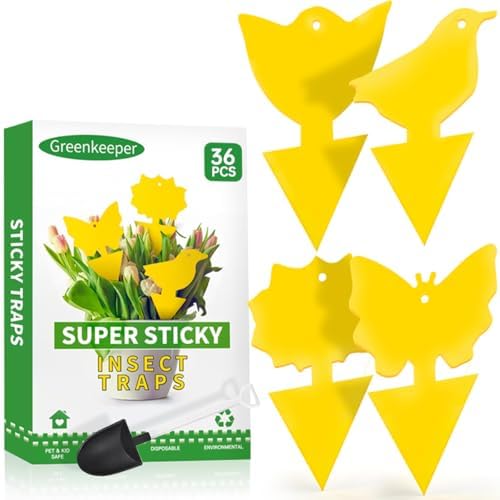 Fungus Gnat Sticky Traps — 36 Pack