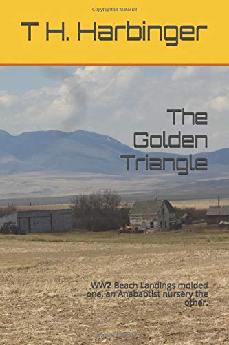 The Golden Triangle: WW2 Beach Landings molded one, an Anabaptist nursery the other.