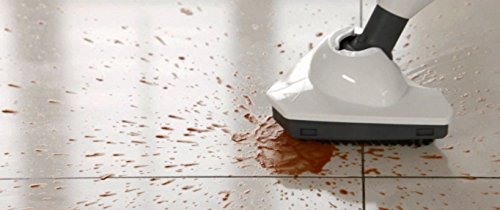 Vax S86-SF-C Steam Fresh, Scopa a vapore multiuso