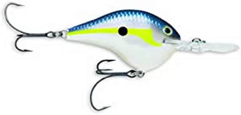 Amazon.com : Rapala Dives-To Metal Sure Set 20 Fishing Lure