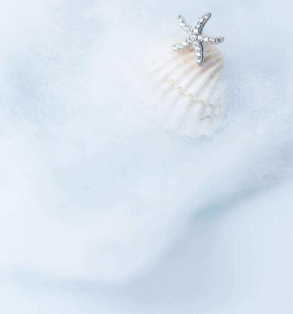 RWRAPS Ohrringe für Frauen, S925 Silber Ohrringe weiblich Han Sen Diamant süße kleine Seestern hübsche Stern Ohrringe weiblich EIN Paar