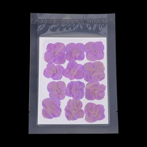 Flores Secas Prensadas 48 Pzas para Manualidades miniatura 4