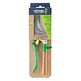 Mostrador 4 Pradera + 4 pizarra