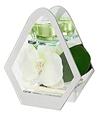 Inklusive Teelicht-Kerze Teelichthalter aus Glas mit Teelicht-Kerze mit Blume Orchidee Kerzen Kerzenhalter Kerzenständer Tischdeko Teelichtglas Laterne Windlicht romantische Deko Deko-Objekt Hochzeitsdeko