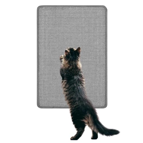 ǂƃhAɎtꂽLpXNb`[ - vŒAtȒPAlWtAׂĂ̔L^CvɑΉ