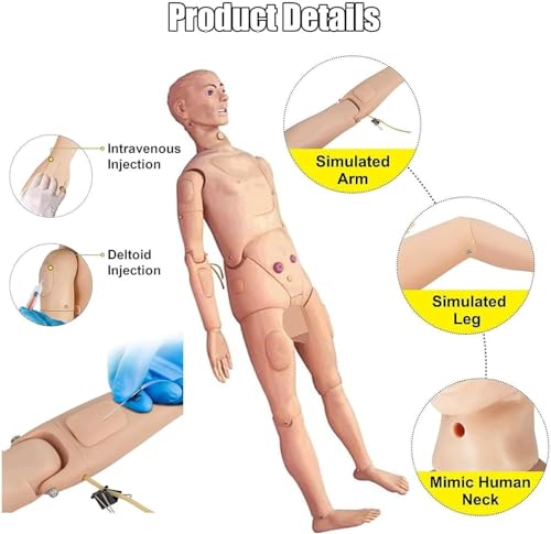 Image of Medical Mannequin for Training, Patient Care Medical Manikin 5.57FT Life Size Nursing Training Mannequin for Nursing Education Medical Training Skills Teaching Pratice