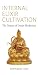 Internal Elixir Cultivation: The Nature of Daoist Meditation
