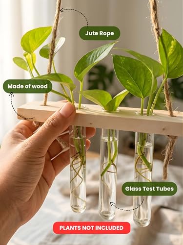 Image of Bombay Greens ; Sow, grow, eat, repeat Hanging Planter with Wooden Holder & Rope | 3 Test Tube Hanging Plant Indoor Stand | Wooden Planter for Home Decor, Living Room, Balcony & Office Decoration