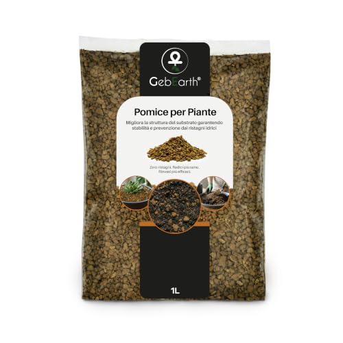 GebEarth® | Pomice per piante fine da 3/6 mm【1 L 】| Migliora la salute radicale di Bonsai e Piante Grasse | Leggera e ad alto potere drenante | Priva di calcare attivo e pH Neutro.