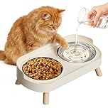 fanado Raised Cat Bowl, Elevated Cat Food and Water Bowl Set for Indoor Cats, Splash Proof with 2 Stainless Steel Pet food Bowls for Cats and Puppies, Whisker Fatigue and Dishwasher Safe - White