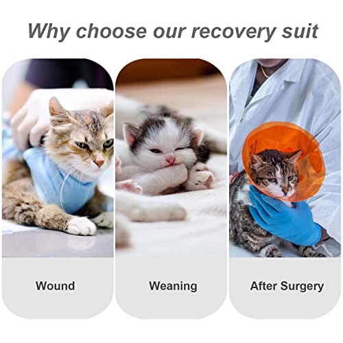 Image of Cat Surgery Recovery Suit Cats Surgical Onesie After Surgery Female Male Cat Post Spay Neuter Bodysuit Anti-Licking Wounds Cat Cone Alternative Pink Leopard /M