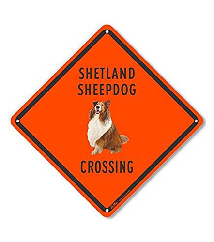 Panneau aluminium Shetland orange 25,4 cm pour signalisation extérieure