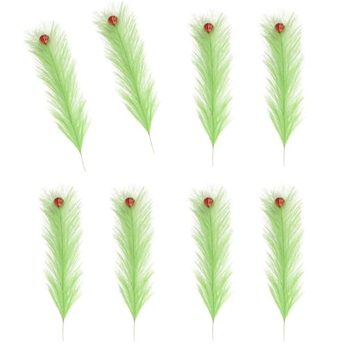 [Tizuqe] tFCNXXLƂ̑u[P Phragmites pEFfBOp[eB[t[AWgz[fR[VMtgtFCNXXL̑