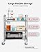 VEVOR Stainless Steel Rolling Cart, 3-Tier Metal Utility Cart with Lockable Wheels, Medical Serving Trolley Clinic Tray, Mobile Service Cart for Hospital, Lab, Restaurant, Kitchen, Salon
