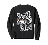 Cool Raccoon Shades