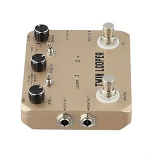 11 PLAY MODES: creativity with 11 distinct looping types on this Rowin looper pedal for endless musical experimentation 10 MIN RECORDING: Capture long performances with 10 minutes of stereo recording time and unlimited overdubs for complex layers TRU...