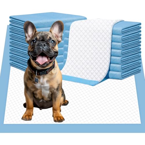 Dog Pee Pads 24x24 100 Count Disposable Absorbent Potty Training Pads for Puppy Dogs Pet | Pet Potty Training Supplies