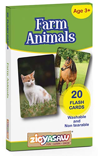 Image of ZiGYASAW Wild Animals Flash Cards for Kids Early Learning I 20 Real Image Flash Cards for Babies 3 Months to 6 Years I Easy & Fun Way of Learning | Brain Development Study Material For Preschoolers