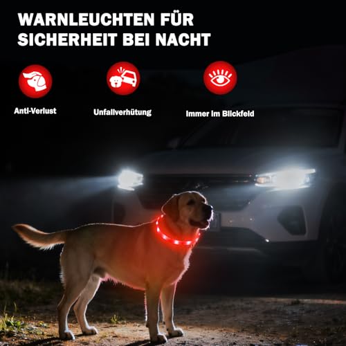 Nepfaivy Leuchthalsband Hund USB Aufladbar - Wasserdichtes Hundehalsband Leuchtend mit Verstellbarer Länge, LED Halsband für Hunde mit 4 Beleuchtungsmodi für Sicherheit, Rot