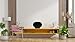 FLEXSON Desk Stand for Sonos ERA 300, Black