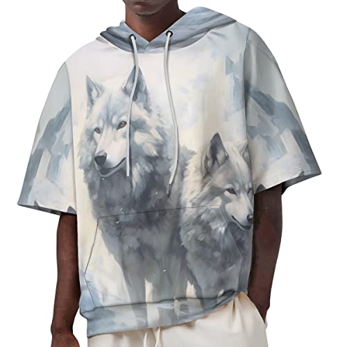 JooMeryer Men's Novelty 3D Graphic Print Hoodie Short Sleeve Drawstring Pullover Hooded Sweatshirt