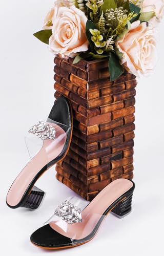 Image of TRYME Embellished Front Studded Buckle Block Heels Comfortable Transparent Party Kitten Heel for Womens & Girls