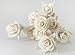 Exotic Elegance Set of 10 Rose Design Sola Flower for Aroma Diffuser Diameter 1 1/2