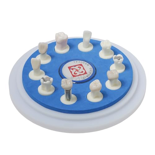 Dental Implant Crown Restoration Teeth Model 10 Different Crown M6011