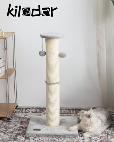 Rascador para gato Kilodor con 2 repuestos de sisal miniatura 6