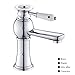 Iraza Grifo Lavabo Monomando Válvula de cerámica,Grifo de Cuenca Rústico Baño (Cromo-1)