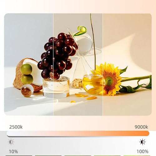 Lumière vidéo rechargeable pour vos visioconférences - 4