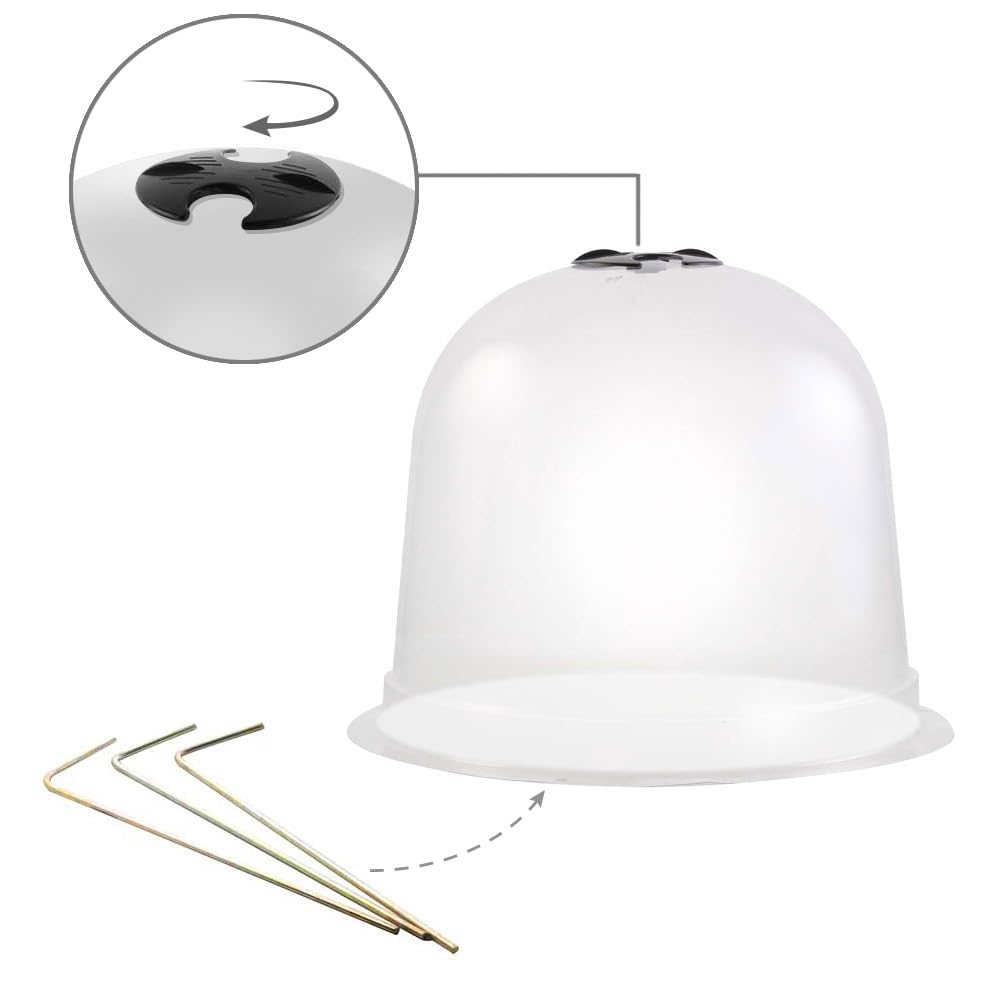 Cloches à salades Plastique - Lot de 72