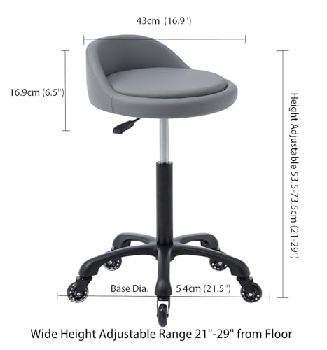 Image of Rolling Salon Stool Chair with Back Support Hydaulic Height Adjustable on Swivel Wheels Heavy Duty for Hair Cutting Esthetician Tatto Beauty Spa Bar Lab Clinic Kitchen Office Home (Dark Gray)