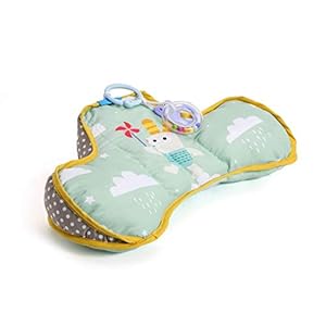 Taf Toys Baby Tummy Time Pillow | Perfect for 2-6 Months Old Babies, Enables Easier Development & Easier Parenting…