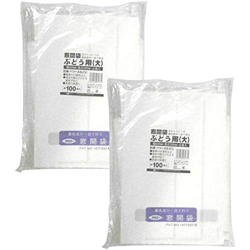 }\(MARSOL) ʎ Ԃǂp  J 205×295mm 100  i܂Ƃߔ2Zbgj