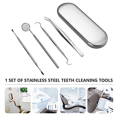 HEALLILY Kit de Higiene Dental Com 4 Removedor de Raspagem de Aço Inoxidável para Palito de Dente Pa