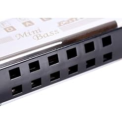 East Top Bass Harmonica Professional Orchestra Harmonica T1-1, harmonica adulte professionnel, musiciens de groupe… - Les Beatles, Paul McCartney, John Lennon, RIngo Starr, George Harrison East Top Bass Harmonica Professional Orchestra Harmonica T1-1, harmonica adulte professionnel, musiciens de groupe… – Image 4