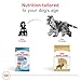 Royal Canin Breed Health Nutrition Cocker Spaniel Adult Dry Dog Food, 25 lb Bag