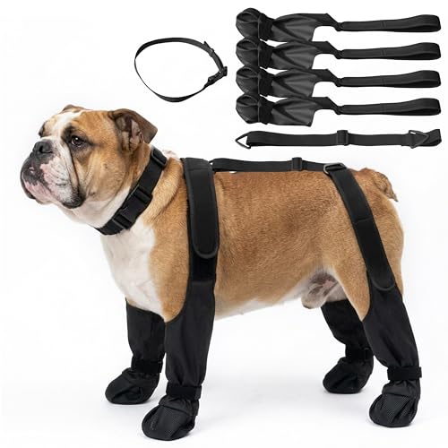 Wood Homing wasserdichte Hundeschuhe - Anti Rutsch Hundestiefel mit verstellbarem Gurt und Klettverschluss Pfotenschutz für kleine mittel Grosse Hunde Outdoor Regen Schnee Hitze Hundeschuhe (S)