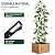 Yotoworth Garden Obelisk Trellis for Climbing Plants Outdoor, 6.3 ft Tall Rose Trellis Climbing Plants Support for Potted Light Vine Flower Vegetable Cucumber Trellis Raised Garden Bed, Black, 1PC