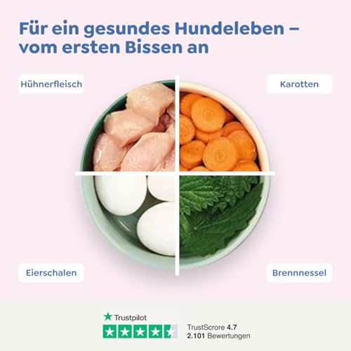 WOW Dog Welpen-Nassfutter mit Huhn | für Junior Hunde, mit hohem Fleischanteil, getreidefrei | 150 g / 22er Pack