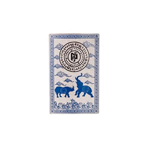 DMtse Feng Shui Blue Rhino Elephant Anti Burglary Talisman Card Cover