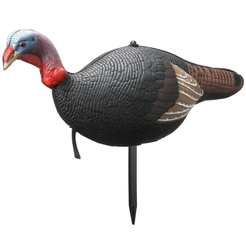 Thenshop Collapsible Turkey Decoy for Hunting - Durable Realistic Lifelike Lightweight Standing Hunting Decoy with Stake for Field Forest Wood Ground Outdoor(Jake)
