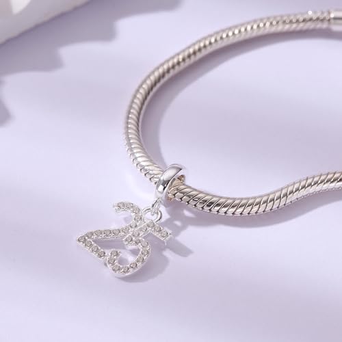 15,16,18,20,25,30,40,50,60 Number Charms Shiny Crystal Birthday Anniversary Celebration Charm fit Pandora Bracelets,Gifts for Wife Daughter Lover Friends…4