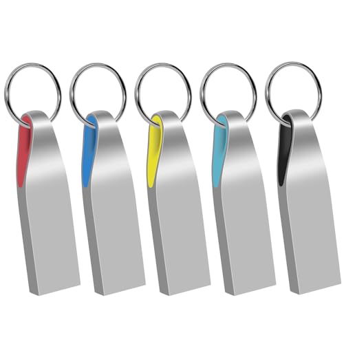 Chiavetta usb 2 GB 5 pezzi multicolore