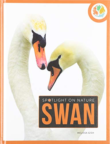 Swan (Spotlight on Nature)