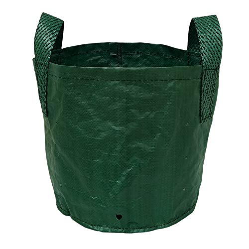 BIO Blooms Agro India PVT LTD Terrace Gardening Extra Large Grow Bag with Belt 36" X 36" (340gsm) Pack of 1 Bio_4503 Dark Green Color Outdoor Use