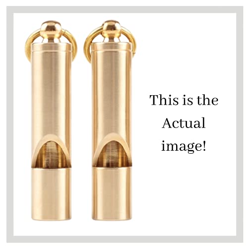 https://m.media-amazon.com/images/I/41yzPbQjVGS._SL500_.jpg