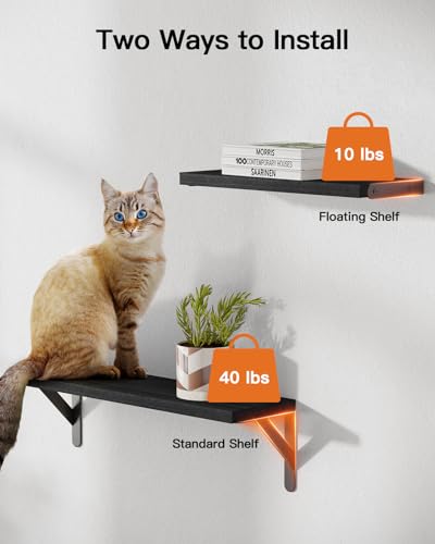 Pipishell Floating Shelves Set of 6 - Image 4