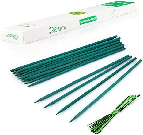 Garsum Green Bamboo Sticks Garden Wood Plant Stakes,Floral Plant Support Wooden,Wooden Sign Posting Garden Sticks,12 Inches 25 Pack